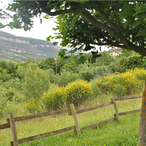 Hébergement en chalets pour groupes et familles, Millau en Aveyron